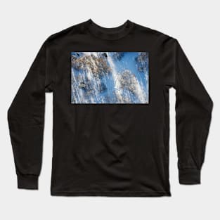 Early winter from above Long Sleeve T-Shirt